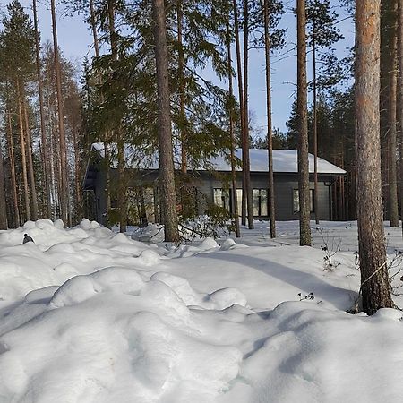 Norvalisma Villa Rovaniemi Dış mekan fotoğraf