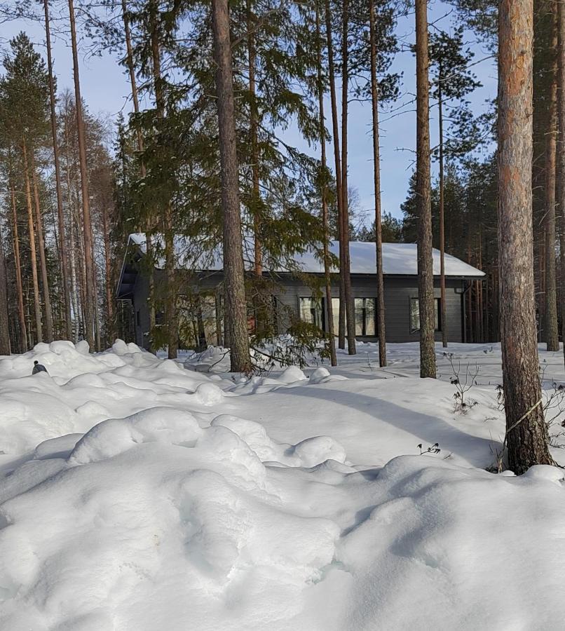 Norvalisma Villa Rovaniemi Dış mekan fotoğraf